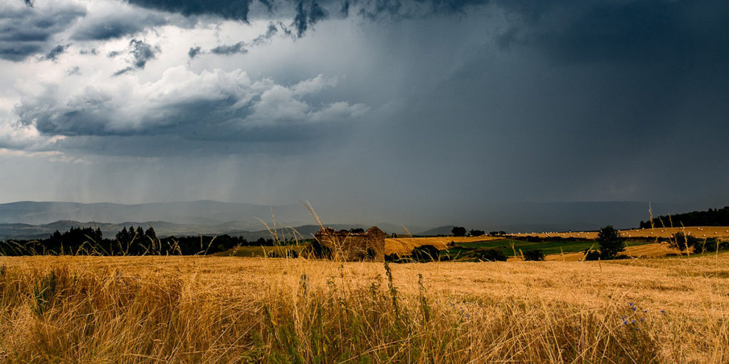 【著作権の基本】動画制作・動画配信するなら知っておくべき著作権とは