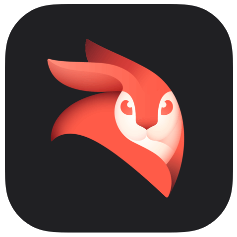 Enlight Videoleap